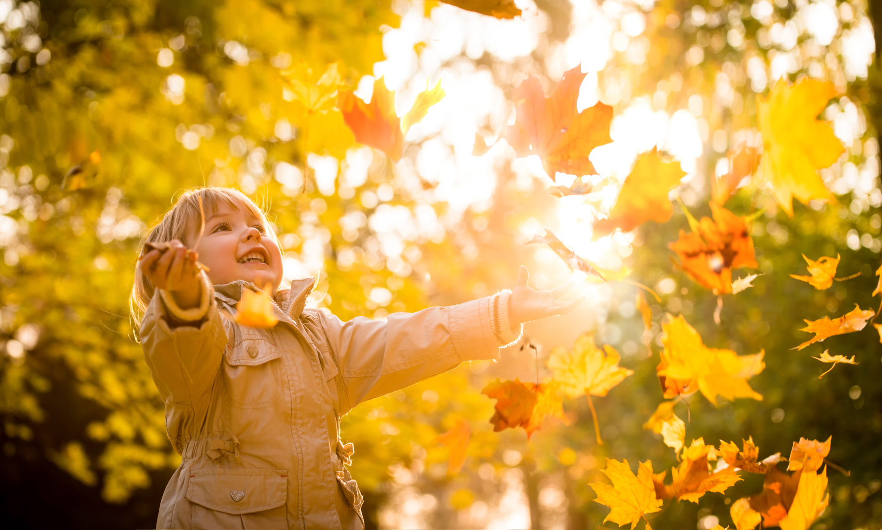 Creating Your Fall Photo Playlist: How to Take Great Fall Photos of Your Kids, Your Pets, and More