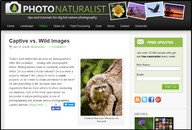 photo-naturalist